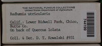 Image Associated With the Occurence